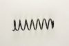 GM 90497912 Coil Spring